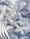 1465409423.hbruton_mwinter_swept.jpg
