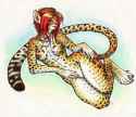 1257714875.iggi_ocelot_fawks.jpg