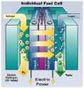 fuel cell_0.jpg