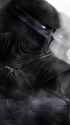 Noob-Saibot-Mortal-Kombat-640x1136.jpg