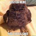 listenhere.jpg
