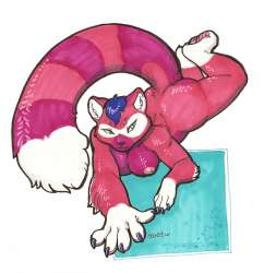 1271546290.iggi_pinkpandacoon.jpg