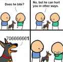 34534555.jpg