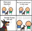 doge3.jpg