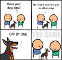 doge4.jpg
