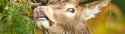 7b2a2a25-d033-47b0-a565-f3be13b6b064.png
