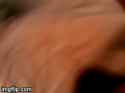 image.gif