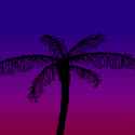 palm.gif