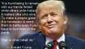 trump wisdom 13.jpg