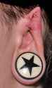 rose-ear-pointings_49.jpg