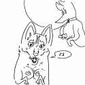 Boobie_Puppies.jpg