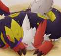 zangoose2.jpg