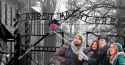 awschwitz-for-web-copy-1435697591.jpg