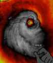 C__Data_Users_DefApps_AppData_INTERNETEXPLORER_Temp_Saved Images_1475716837128.png