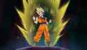 goku1.jpg