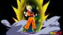 goku2.jpg