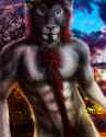 1470155414.artali_beaulion.jpg