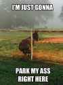 I-Am-Just-Gonna-Park-Ass-Right-Funny-Donkey-Meme-Picture.jpg