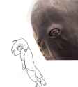 1475775501100.png