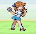 pokepoo.png