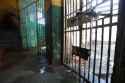brazil-prison-break.jpg