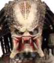 Predator Number 2.png