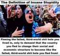 Definition-of-stupidity.jpg