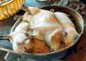 Eating-Guinea-Pigs-In-Peru.jpg