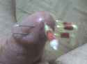 DSC00182.jpg