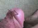 DSC00104.jpg