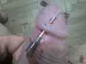 DSC00667.jpg
