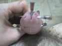 DSC00680.jpg