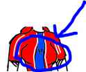 cap.png