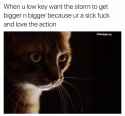 14572340_1138196592941248_6765517757250760770_n.jpg