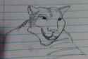 some random big cat.jpg