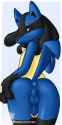 1252389944_rapps_lucarioboy_copy.jpg