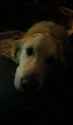 received_984217194966961.jpg