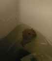 IMAG0035~2.jpg