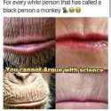 no lips.jpg