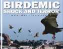 birdemic.jpg
