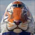 inside_painted_nose.jpg