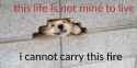 FB_IMG_1475728250474.jpg