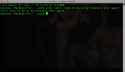 Screen Shot 2016-10-07 at 10.35.00 PM.png