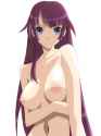 1066288 - Bakemonogatari Hitagi_Senjougahara.jpg