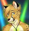 1323258056.spotslightfur_226999_104304459659804_100002407517447_40204_7679906_n_U18chan.jpg