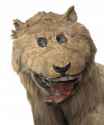 doofy lion.jpg