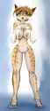 1318259789.tgwonder_55_flat.jpg