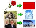 bush.jpg