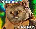 ewok_pu.jpg