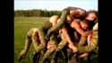 dogpile93.jpg